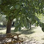 Maesta Delle Quattro Chiavi *