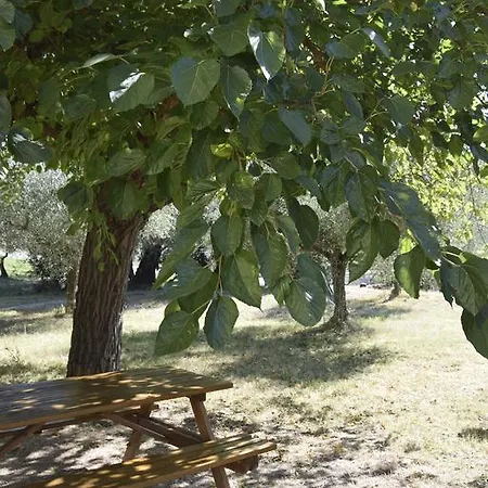 Maesta Delle Quattro Chiavi *