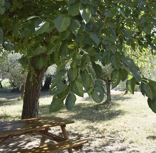 Maesta Delle Quattro Chiavi *