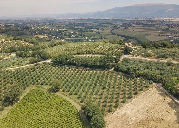 Фермерский дом Maesta Delle Quattro Chiavi